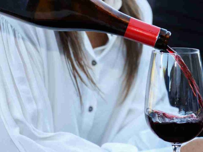 San Fernando se prepara para celebrar su Vendimia 2026 con foco en el vino y la identidad local y un gran show musical