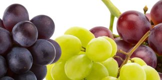 Se prevé una baja de 5 millones de cajas en las exportaciones de uvas de mesa chilena de esta temporada