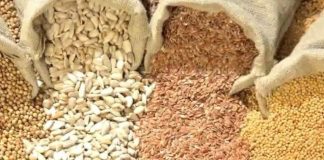 Semillas el Gobierno busca reforzar la propiedad intelectual sin cambiar la ley