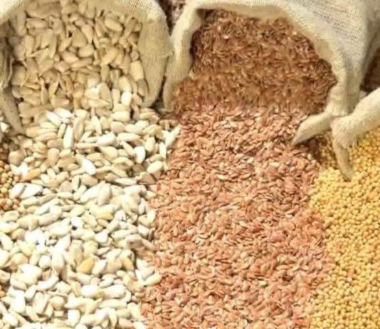 Semillas el Gobierno busca reforzar la propiedad intelectual sin cambiar la ley