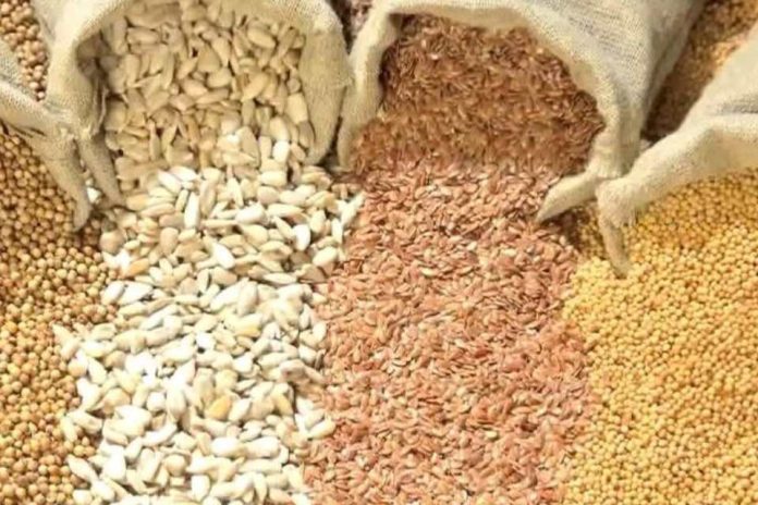 Semillas el Gobierno busca reforzar la propiedad intelectual sin cambiar la ley