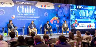 XL Seminario Internacional Blueberries Chile 2026 | Las voces que hoy mueven la industria del arándano