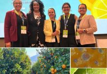 Seminario aborda plagas de cítricos presentes en América Latina y su riesgo para Chile