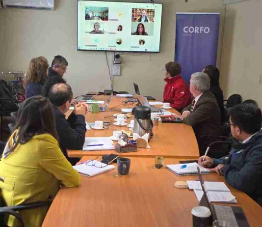 Subcomité de Fomento Productivo Corfo aprueba más de $330 millones para impulsar turismo, pymes y emprendimientos regionales