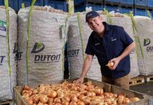 Sudáfrica | Dutoit prevé una sólida temporada de cebolla en 2026