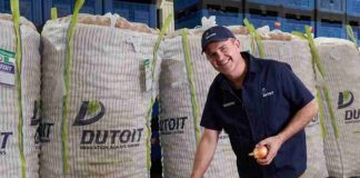 Sudáfrica | Dutoit prevé una sólida temporada de cebolla en 2026