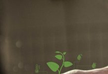 Tecnologías aplicadas en la agricultura y su impacto en la banca agrícola.