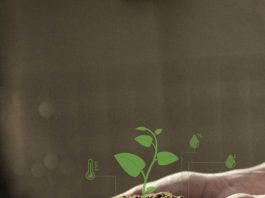 Tecnologías aplicadas en la agricultura y su impacto en la banca agrícola.