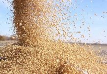 Tensión global impacta al agro suben costos y crece la incertidumbre
