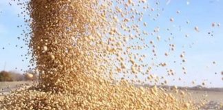 Noticia: Tensión global impacta al agro: suben costos y crece la incertidumbre