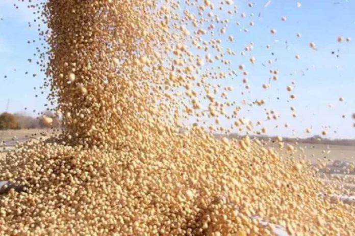 Tensión global impacta al agro suben costos y crece la incertidumbre