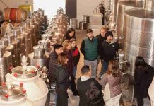 Transformación del vino en Chile impulsa formación con foco en territorio, cultura e innovación