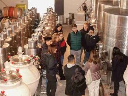 Transformación del vino en Chile impulsa formación con foco en territorio, cultura e innovación