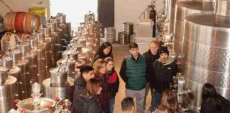 Transformación del vino en Chile impulsa formación con foco en territorio, cultura e innovación