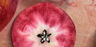 Tras instalarse en Europa, una novedosa manzana de pulpa roja desembarca en la Argentina de la mano de la firma Moño Azul