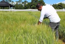 UACh e IDAgro potencian investigación aplicada para responder a necesidades de la región