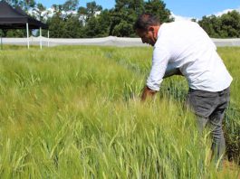 UACh e IDAgro potencian investigación aplicada para responder a necesidades de la región