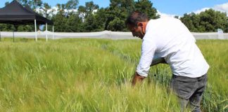 UACh e IDAgro potencian investigación aplicada para responder a necesidades de la región UACh e IDAgro potencian investigación aplicada para responder a necesidades de la región