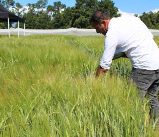 UACh e IDAgro potencian investigación aplicada para responder a necesidades de la región