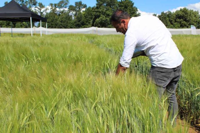 UACh e IDAgro potencian investigación aplicada para responder a necesidades de la región