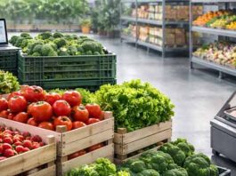 USA | Gestión de inventarios perecederos con tecnología de conservación