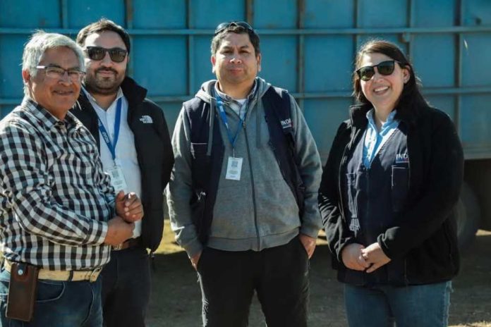 Usuarios del programa PDTI de Alto Biobío concretan segunda venta asociativa