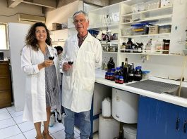 WineTech: la tecnología chilena que busca revolucionar la enología obtiene patente por 20 años