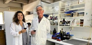 WineTech: la tecnología chilena que busca revolucionar la enología obtiene patente por 20 años
