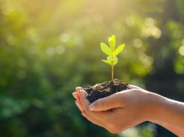 EY anuncia acuerdo para adquirir MB Agro y refuerza su liderazgo en inteligencia estratégica para el agronegocio en Latinoamérica