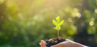 EY anuncia acuerdo para adquirir MB Agro y refuerza su liderazgo en inteligencia estratégica para el agronegocio en Latinoamérica