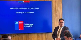 Mesa regional en Coquimbo aborda control de Mosca de la Fruta y seguridad en territorios rurales