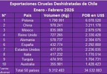 Inusitada caída de exportaciones a China y las oportunidades que da EE.UU. y Europa