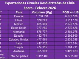 Inusitada caída de exportaciones a China y las oportunidades que da EE.UU. y Europa