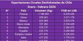 Inusitada caída de exportaciones a China y las oportunidades que da EE.UU. y Europa