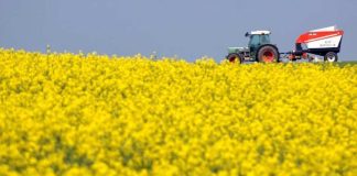 Reportaje | En guerra y sembrando: la escalada en Medio Oriente reactiva la siembra ucraniana de colza mientras Europa le cierra el mercado de biodiesel a Argentina la escalada en Medio Oriente reactiva la siembra ucraniana de colza mientras Europa le cierra el mercado de biodiesel a Argentina