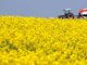 la escalada en Medio Oriente reactiva la siembra ucraniana de colza mientras Europa le cierra el mercado de biodiesel a Argentina