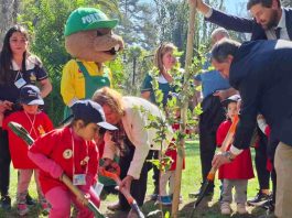 Ministerio de Agricultura impulsa la restauración del Jardín Botánico de Viña del Mar con donación de especies nativas