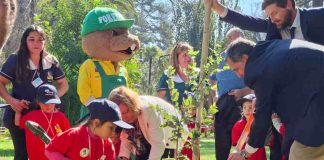 Ministerio de Agricultura impulsa la restauración del Jardín Botánico de Viña del Mar con donación de especies nativas