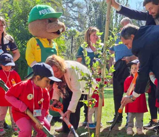 Ministerio de Agricultura impulsa la restauración del Jardín Botánico de Viña del Mar con donación de especies nativas
