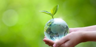 Impresión ecológica avanza en la industria gráfica impulsada por costos y regulación Impresión ecológica avanza en la industria gráfica impulsada por costos y regulación