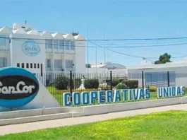 Decretan la quiebra de SanCor con una deuda que supera los US$ 86 millones y más de $35.000 millones: cuál es el futuro