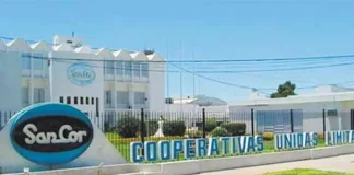 Decretan la quiebra de SanCor con una deuda que supera los US$ 86 millones y más de $35.000 millones: cuál es el futuro