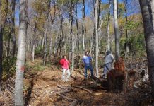 ¿Eres propietario de bosque nativo y necesitas financiar los costos para su manejo? ¿Eres propietario de bosque nativo y necesitas financiar los costos para su manejo?