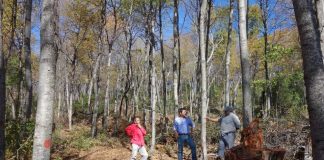 ¿Eres propietario de bosque nativo y necesitas financiar los costos para su manejo? ¿Eres propietario de bosque nativo y necesitas financiar los costos para su manejo?