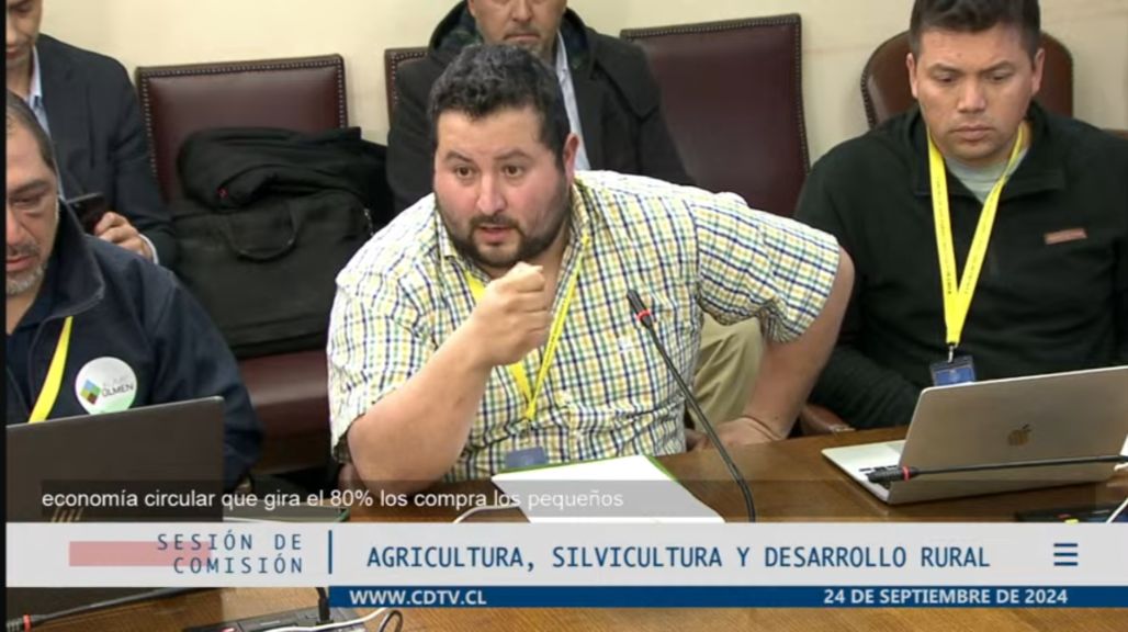 Ley del Grano: Chile necesita libre mercado real, no promesas Ley del Grano: Chile necesita libre mercado real, no promesas