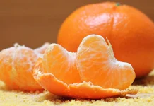Mandarinas del Limarí: foco en eficiencia y calidad exportadora