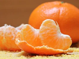 Mandarinas del Limarí: foco en eficiencia y calidad exportadora Mandarinas del Limarí: foco en eficiencia y calidad exportadora