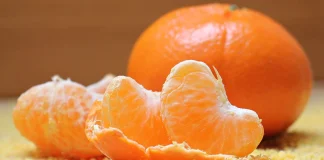 Mandarinas del Limarí: foco en eficiencia y calidad exportadora