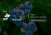 Agrotrade Chile 2026: Donde el nuevo margen de la fruticultura se construye Agrotrade Chile 2026: Donde el nuevo margen de la fruticultura se construye