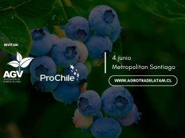 Agrotrade Chile 2026: Donde el nuevo margen de la fruticultura se construye Agrotrade Chile 2026: Donde el nuevo margen de la fruticultura se construye